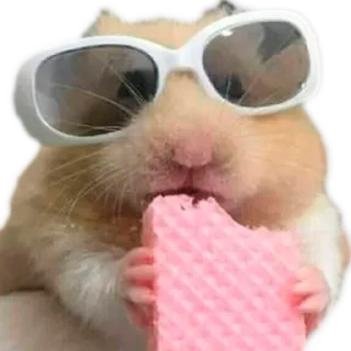 Sticker Больше стиков тут: @stikery4 - 3