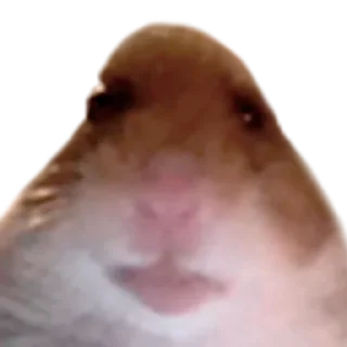 Sticker Больше стиков тут: @stikery4 - 9