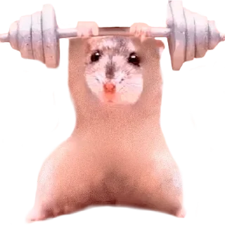 Sticker Больше стиков тут: @stikery4 - 1