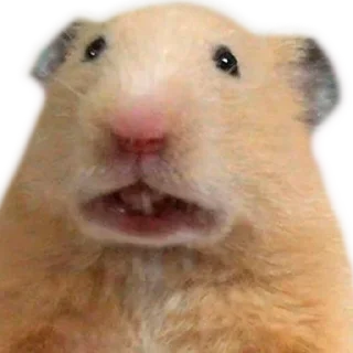 Sticker Больше стиков тут: @stikery4 - 4