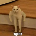 Sticker Стикосы Найта - 11