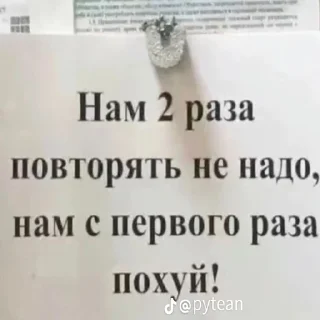 Стикер ниа дебич | @NEV6DA @blagorodnayagnil - 1