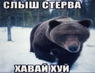 Стикер лучший пак - 4