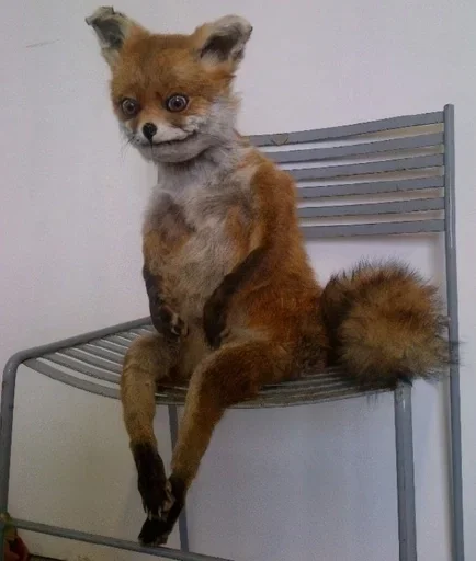 Стикер ЖБ адреса от Найта :: @fStikBot - 11