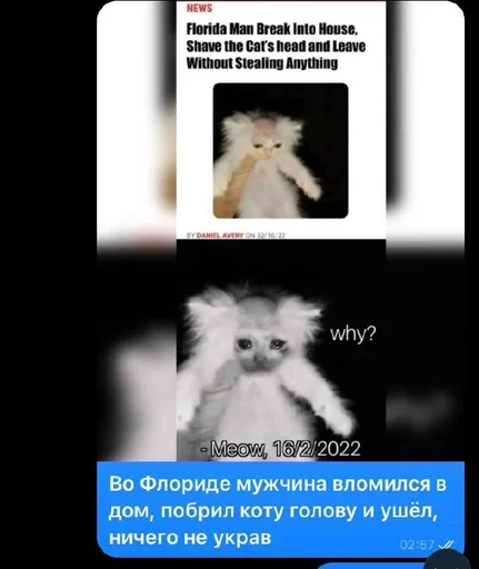 Стикер ЖБ адреса от Найта :: @fStikBot - 9