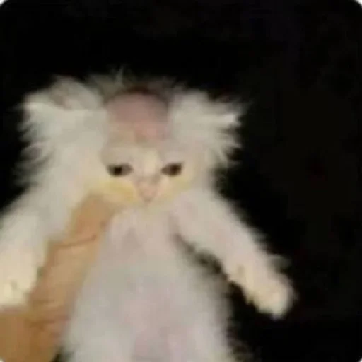 Стикер ЖБ адреса от Найта :: @fStikBot - 1