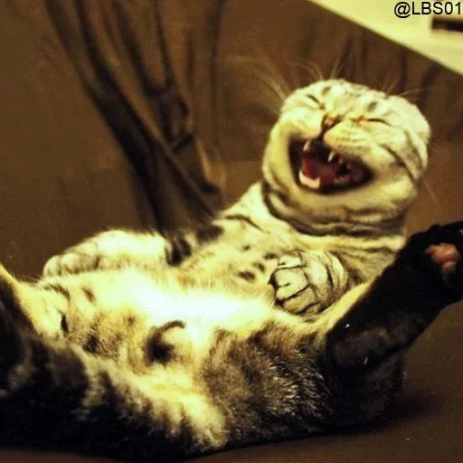 Sticker nikitacats_by_fStikBot - 1