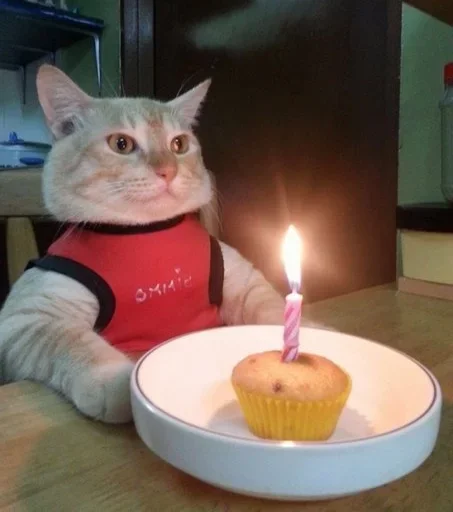 Sticker nikitacats_by_fStikBot - 1