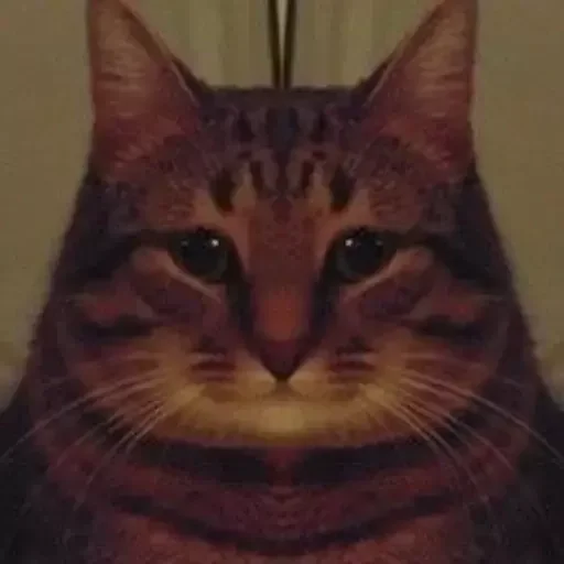 Стикер коты никиты by @fStikBot - 11