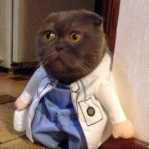 Стикер коты никиты by @fStikBot - 6