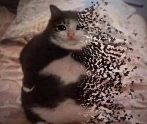 Стикер коты никиты by @fStikBot - 2