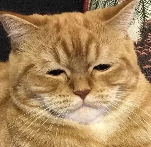 Стикер коты никиты by @fStikBot - 0