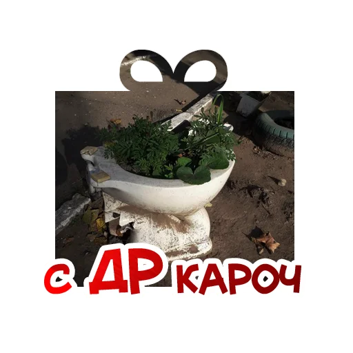 text plant houseplant