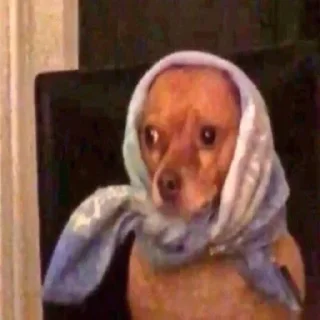 Стикер بنت احمد - 2