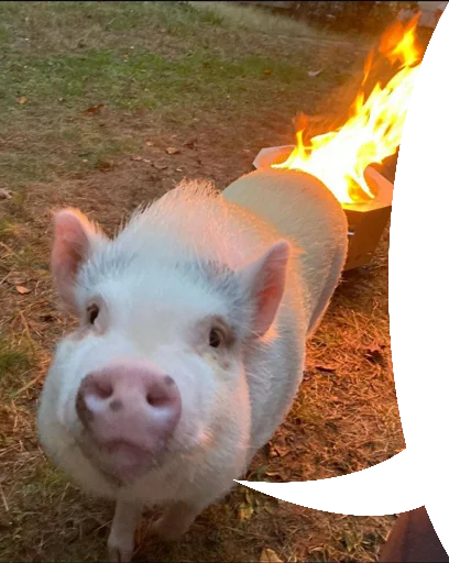 Стикер nnchatsticks - 1