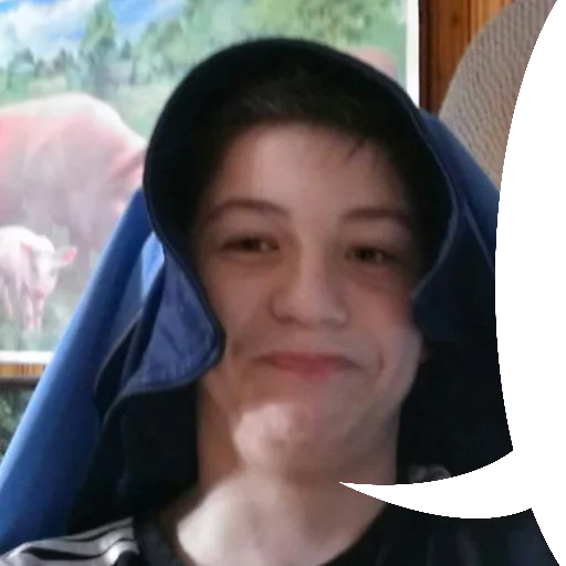 Sticker nnchatsticks - 1