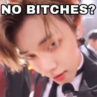 Sticker no bitches? - 10