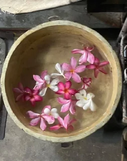 Sticker 🫧𓇼𓏲*ੈ✩‧₊˚🎐 @TgEmodziBot - 8