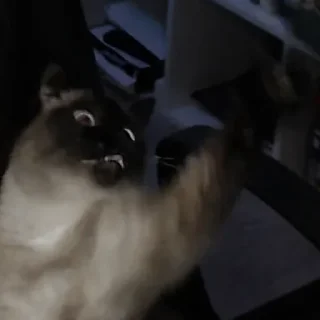 Sticker noiromori - 10