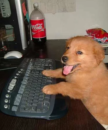 Sticker non capisco ma mi adeguo - 6