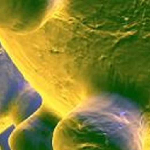 Sticker noncringe - 1