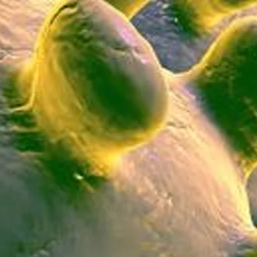 Sticker noncringe - 1