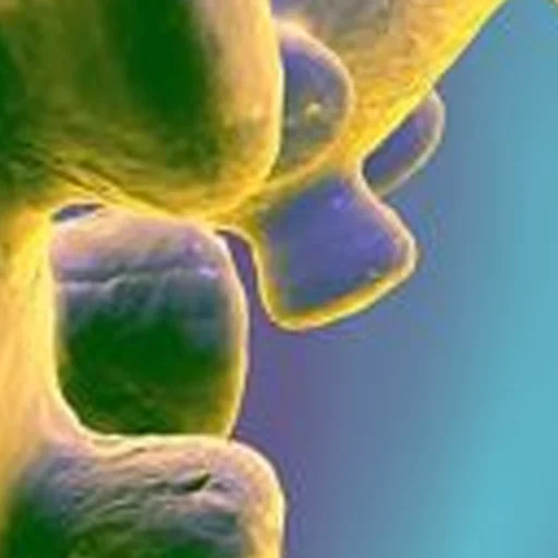 Sticker noncringe - 1