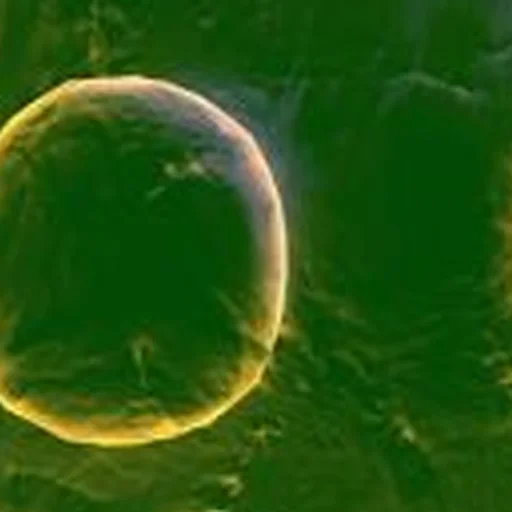 Sticker noncringe - 1