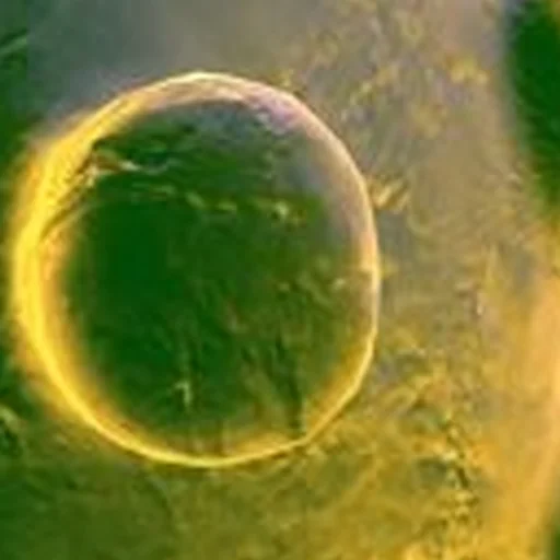 Sticker noncringe - 1