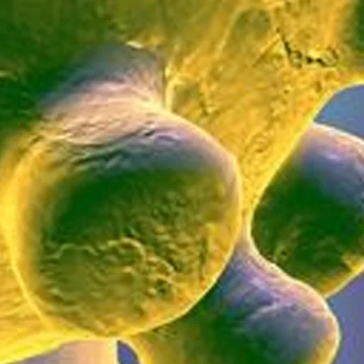 Sticker noncringe - 1