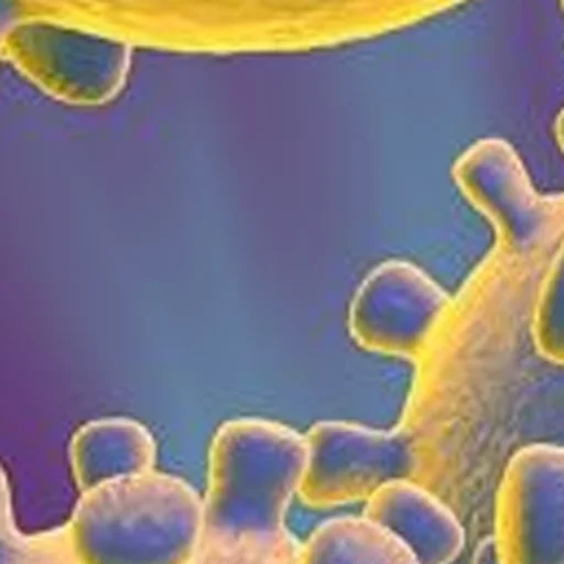 Sticker noncringe - 1