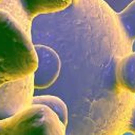 Sticker noncringe - 1