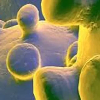 Стикер подпишисб @noncontent - 7