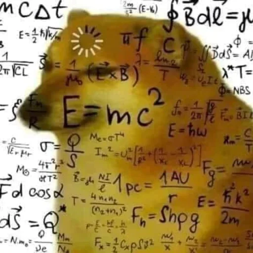 💘 : @ucucc % @aaraa . - 