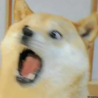 Sticker 💘 : @ucucc % @aaraa . - 2