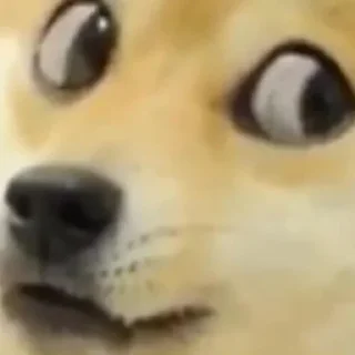 Sticker 💘 : @ucucc % @aaraa . - 4