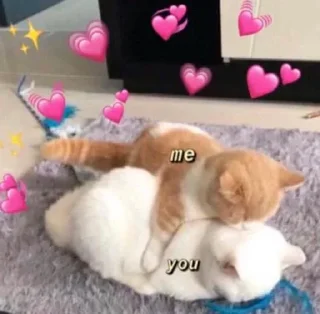 Sticker 💘 : @ucucc % @aaraa . - 7