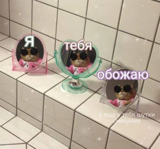 Sticker noonacats - 1