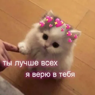 Sticker /ᐠ - ˕ -マ  @noona_stickers - 2