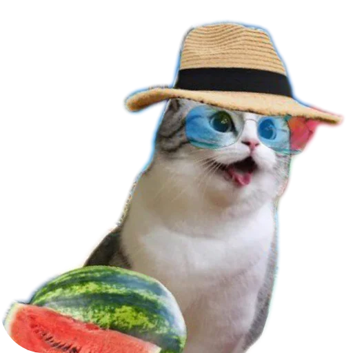 Sticker norm2394 - 1