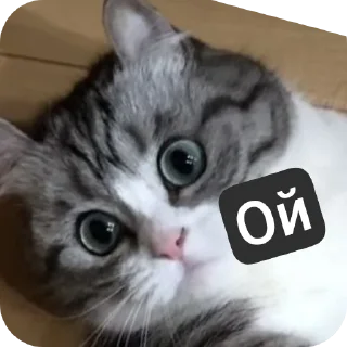 Sticker (•-•) норм - 2