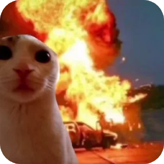 Sticker (•-•) норм - 4