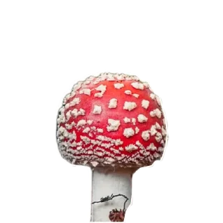 Sticker (•-•) норм - 11