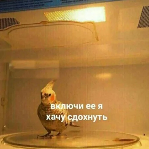 Sticker набор среднестатистического пидора - 4