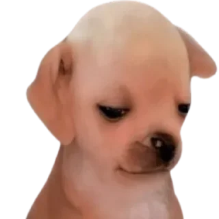 Sticker doggies by @normtips - 8