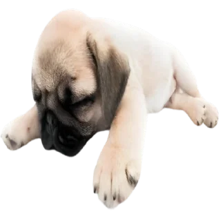 Sticker doggies by @normtips - 5