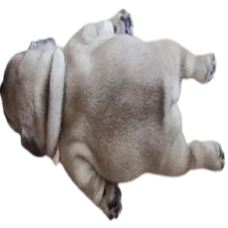 Sticker doggies by @normtips - 7