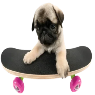 Sticker doggies by @normtips - 3