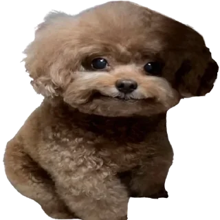 Sticker doggies by @normtips - 9