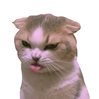 Sticker northwlnd - 4